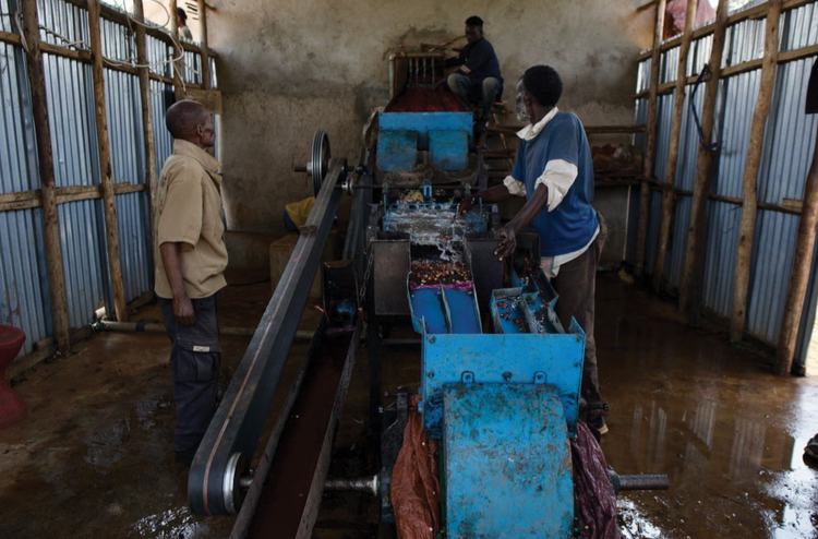 coffee washing station ethiopia jabanto producers