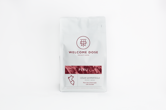 Peru Cesar Sampertegui