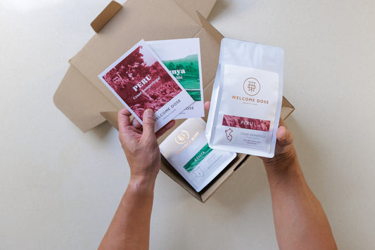 Peru Cesar Sampertegui