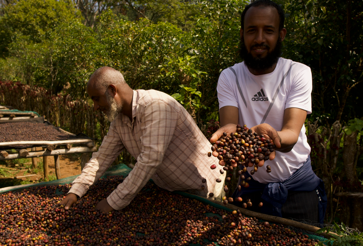 Ethiopia Seid Kemal-4