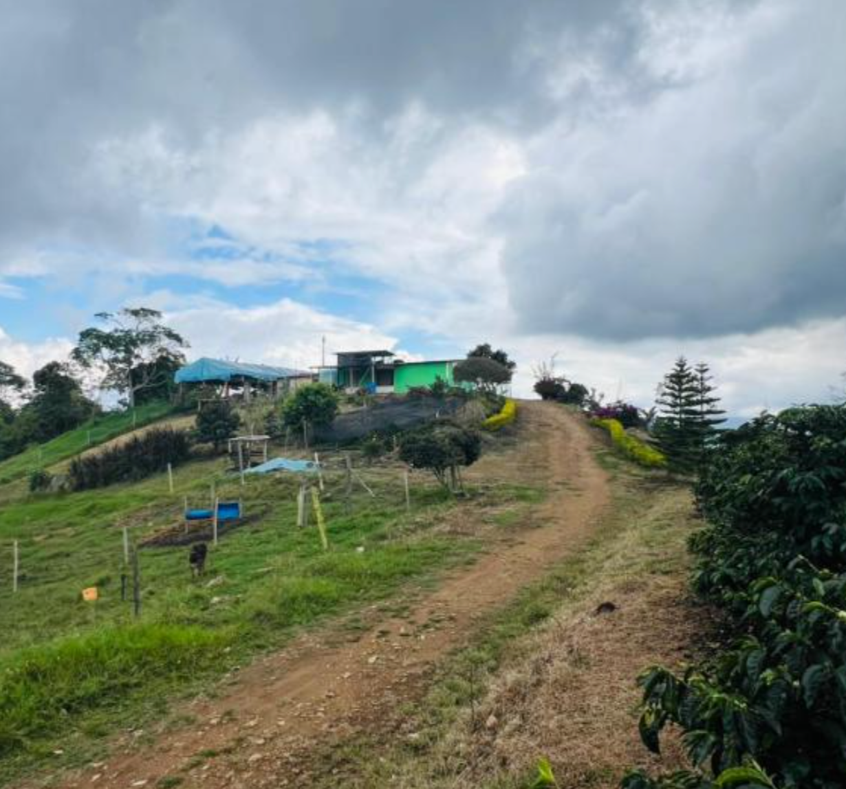 Colombia Sergio Calderon-3